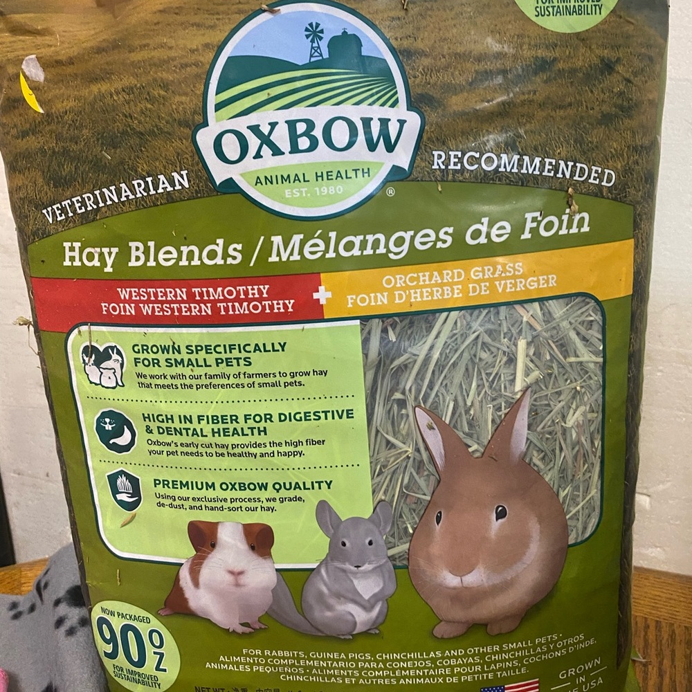 Guinea pig hay